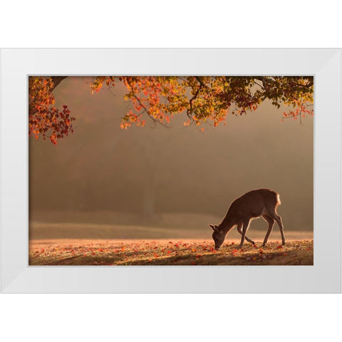 First Autumn White Modern Wood Framed Art Print by Matsui, Yoshinori