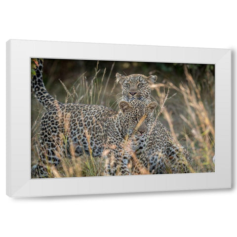 Mother And Daughter White Modern Wood Framed Art Print by C. Sink, Jeffrey