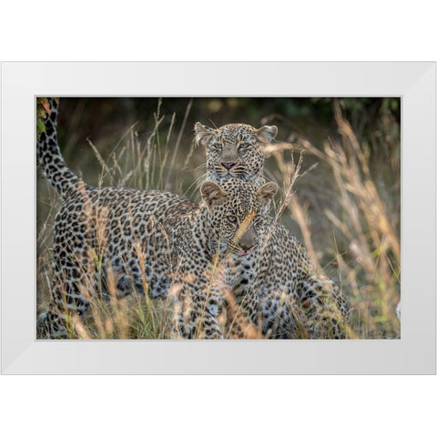 Mother And Daughter White Modern Wood Framed Art Print by C. Sink, Jeffrey