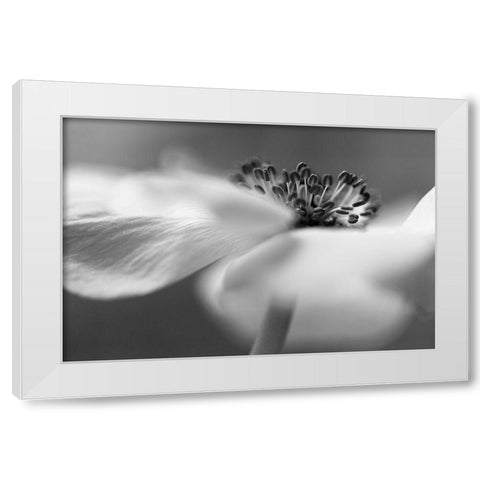 Untitled White Modern Wood Framed Art Print by Or, Keren