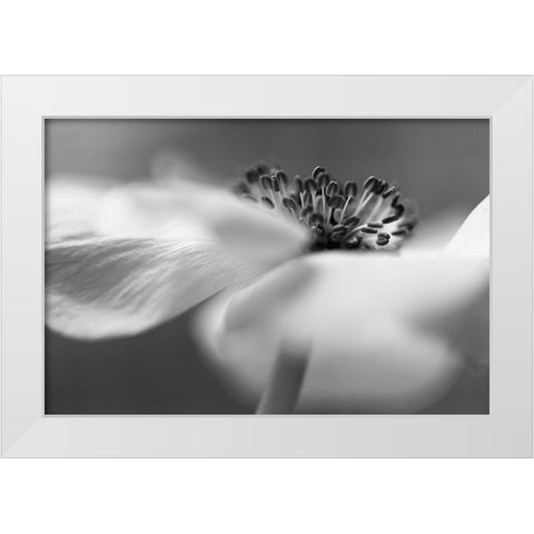 Untitled White Modern Wood Framed Art Print by Or, Keren