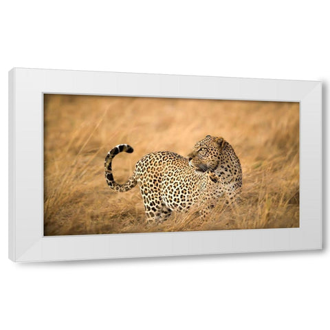 Watching White Modern Wood Framed Art Print by Alnomas, Faisal