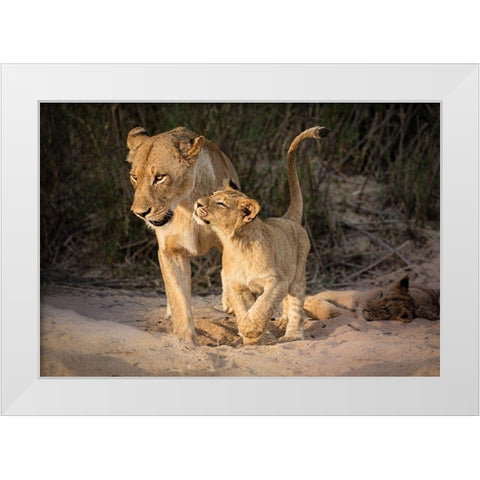 Happy White Modern Wood Framed Art Print by Bonadio, Heather