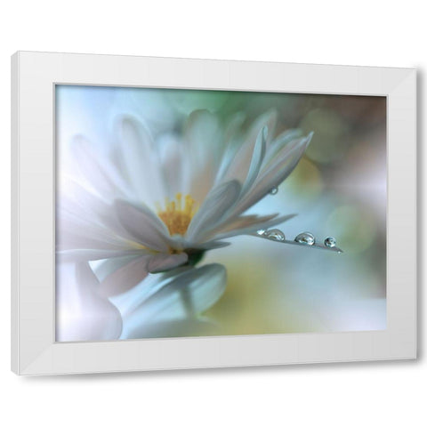 Light Touch... White Modern Wood Framed Art Print by Nan, Juliana