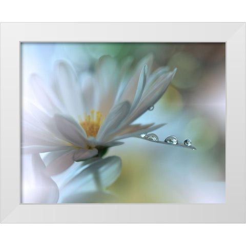 Light Touch... White Modern Wood Framed Art Print by Nan, Juliana