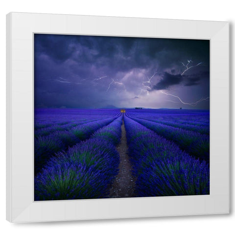 Wetter Im Lavendelfeld White Modern Wood Framed Art Print by Schumacher, Nicolas