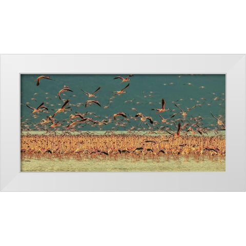 Gathering In Golden Light White Modern Wood Framed Art Print by Hua, David