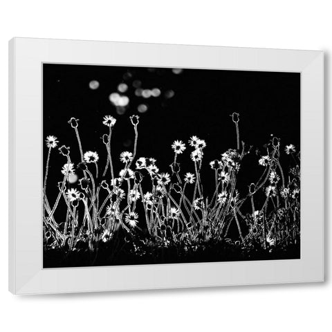 The Little Flowers White Modern Wood Framed Art Print by Lagaa, Kahar