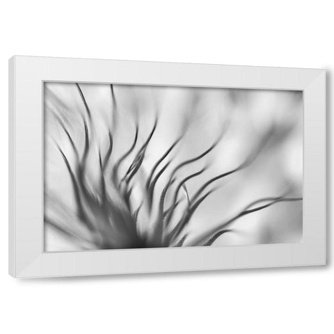 Untitled White Modern Wood Framed Art Print by Or, Keren