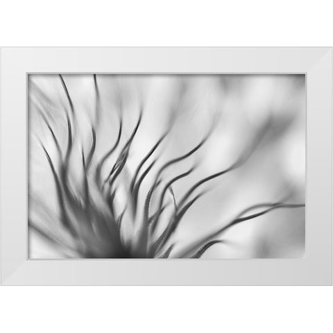 Untitled White Modern Wood Framed Art Print by Or, Keren