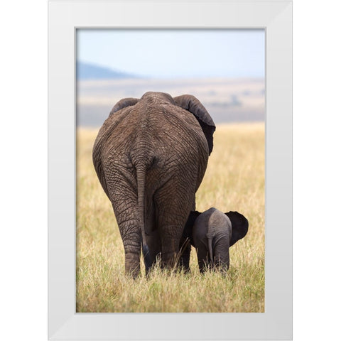 WeRe Gone White Modern Wood Framed Art Print by Metzger, Alejandro