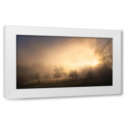 Glorious Morning White Modern Wood Framed Art Print by Urlings, Lou