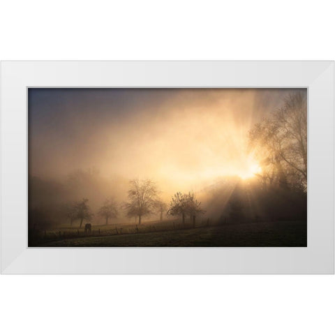 Glorious Morning White Modern Wood Framed Art Print by Urlings, Lou
