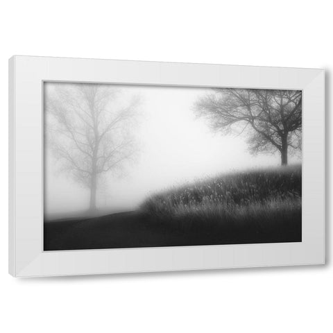 Foggy Morning White Modern Wood Framed Art Print by Huybrighs, Marc