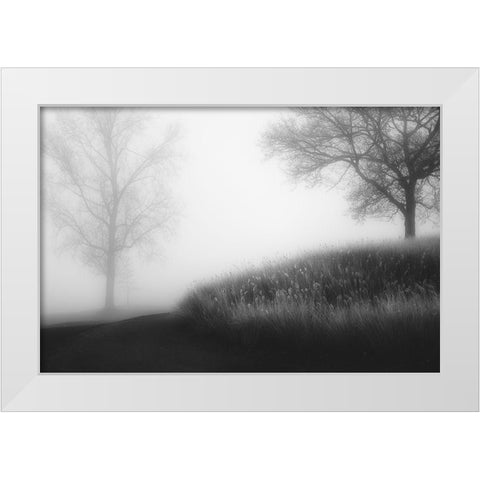 Foggy Morning White Modern Wood Framed Art Print by Huybrighs, Marc
