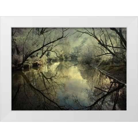 Frosty Silence White Modern Wood Framed Art Print by Ri, P