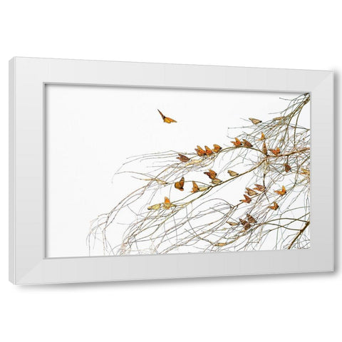 Winter Monarchies White Modern Wood Framed Art Print by Mao, Dianne