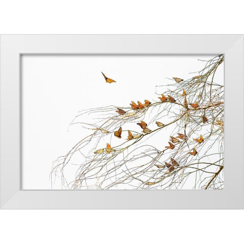Winter Monarchies White Modern Wood Framed Art Print by Mao, Dianne