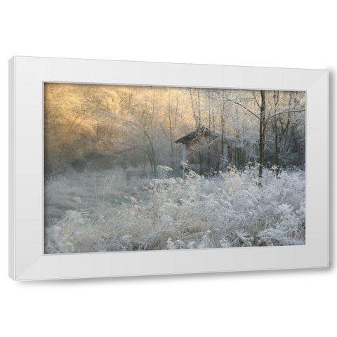 * White Modern Wood Framed Art Print by Bernard, Sheila