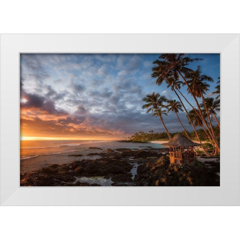Return To Paradise White Modern Wood Framed Art Print by Vandewalle, Richard