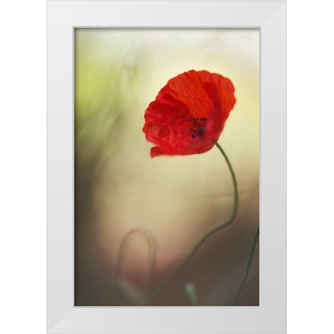 Untitled White Modern Wood Framed Art Print by Or, Keren