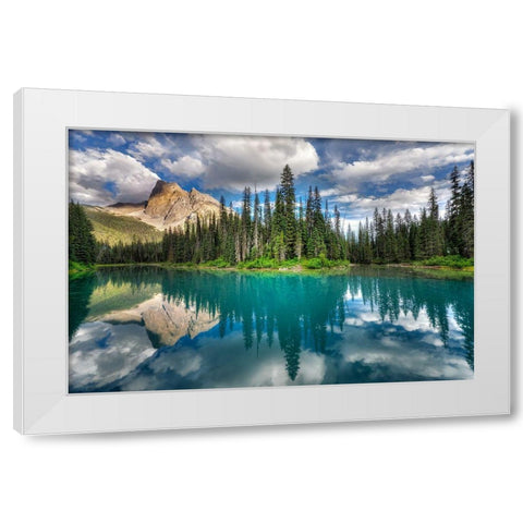 Emerald ... White Modern Wood Framed Art Print by Dujic Lighthunter, Zoran