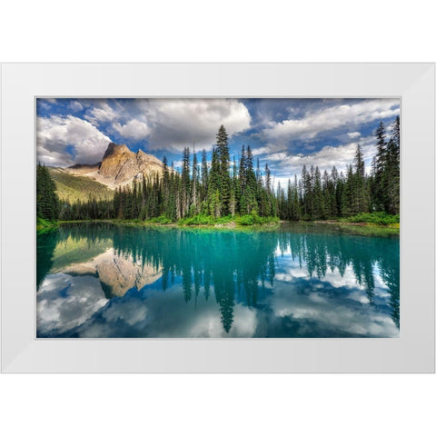 Emerald ... White Modern Wood Framed Art Print by Dujic Lighthunter, Zoran