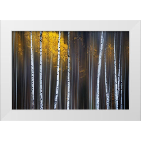 Curtain Of Fall White Modern Wood Framed Art Print by Hu, Andy