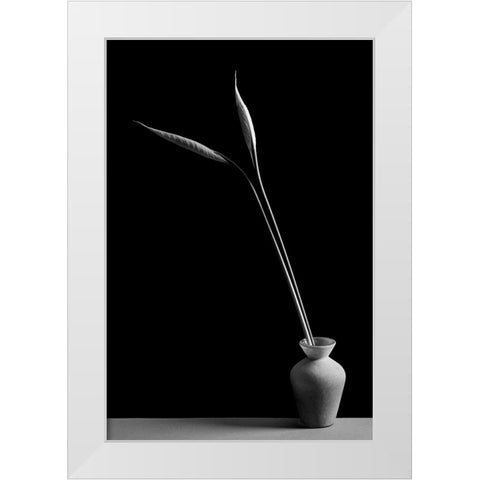 Double White Modern Wood Framed Art Print by Oveckova, Kristina