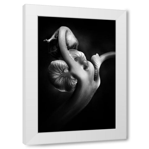 ..... Abw048 ..... White Modern Wood Framed Art Print by Januar, Johanes