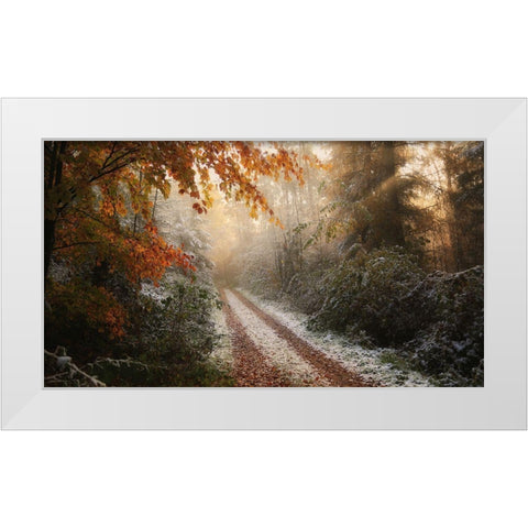 Frosty Fall White Modern Wood Framed Art Print by Croce, Vincent