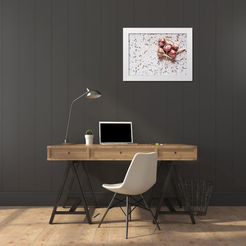 Healthy Garlic White Modern Wood Framed Art Print by Karina, Aleksandrova