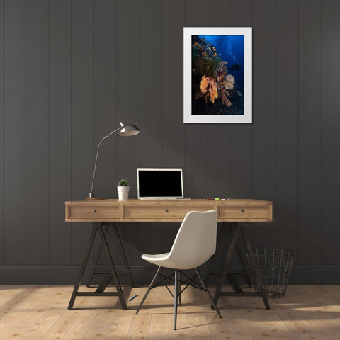 Diving White Modern Wood Framed Art Print by Gabriel, Barathieu