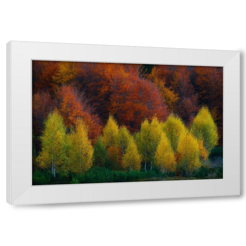 Nimbrethil White Modern Wood Framed Art Print by Zsolt Andras, Szabo