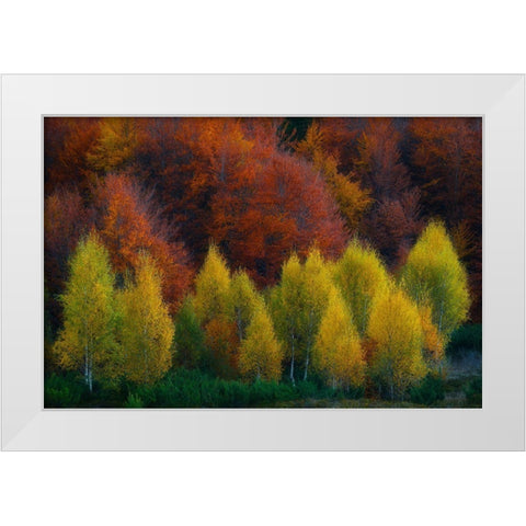 Nimbrethil White Modern Wood Framed Art Print by Zsolt Andras, Szabo