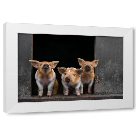 3 White Modern Wood Framed Art Print by Van Den, Gert