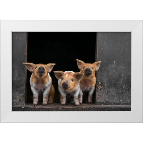 3 White Modern Wood Framed Art Print by Van Den, Gert