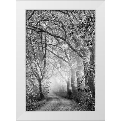 Tuscan Dream Alley White Modern Wood Framed Art Print by Kreiten, Mike