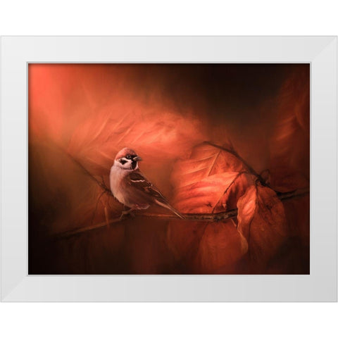 Summers End White Modern Wood Framed Art Print by Lennartsson, Johan