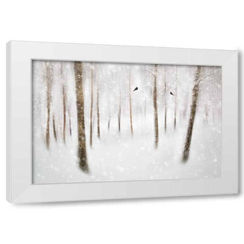 Winter Birches White Modern Wood Framed Art Print by Davidsson, Gustav