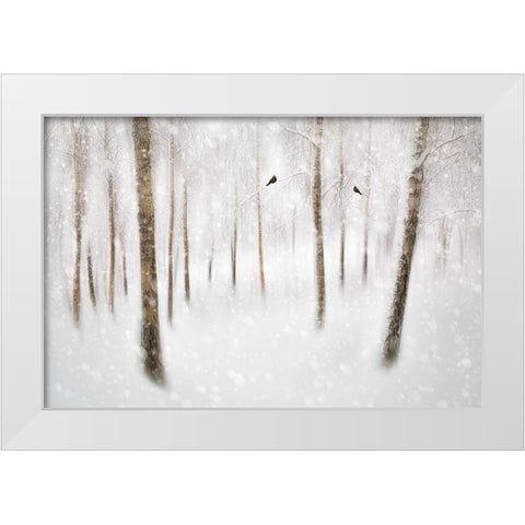Winter Birches White Modern Wood Framed Art Print by Davidsson, Gustav