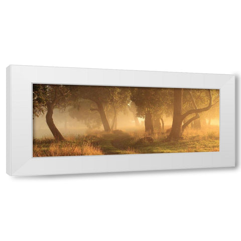 Morning Mist White Modern Wood Framed Art Print by Smith, Garth