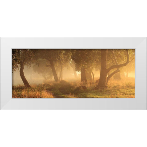 Morning Mist White Modern Wood Framed Art Print by Smith, Garth