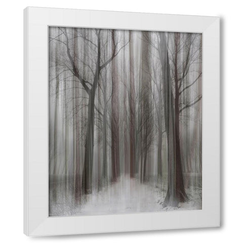 Winter Walz White Modern Wood Framed Art Print by Depaepe, Yvette