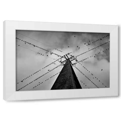 Wired White Modern Wood Framed Art Print by Caria, Rui