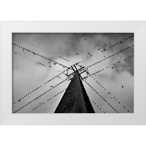 Wired White Modern Wood Framed Art Print by Caria, Rui