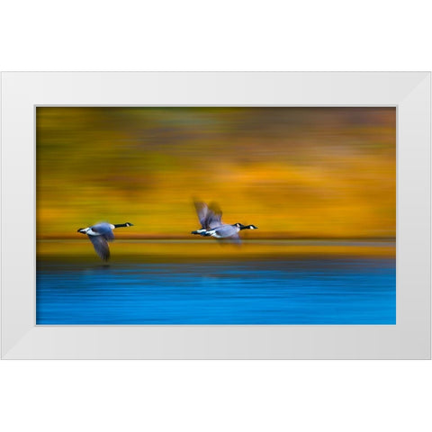 Mom-Dad-Wait For Me! White Modern Wood Framed Art Print by Wang, Kevin