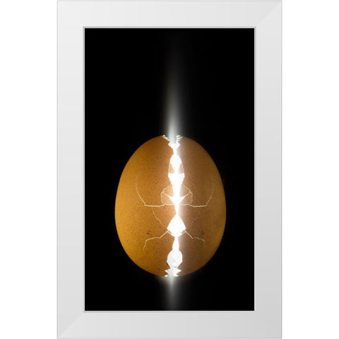 Alien Egg White Modern Wood Framed Art Print by De Kogel, Wieteke