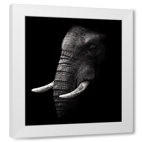 Portrait White Modern Wood Framed Art Print by Wildphotoart