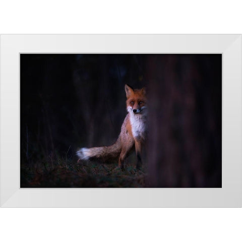 Glances White Modern Wood Framed Art Print by Mastahac, Sebastian